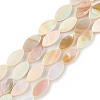 Natural Freshwater Shell Beads Strands SHEL-T009-22-1