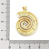 Rack Plating Brass Clear Cubic Zirconia Pendants KK-M293-21G-3