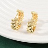Brass Twist Hoop Earrings EJEW-G446-03G-2