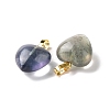 Natural Fluorite Pendants G-I311-A36-G-2