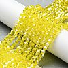 Transparent Electroplate Glass Beads Strands LS-EGLA-A039-T4mm-A21-4