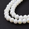 Electroplate Opaque Solid Color Glass Beads Strands EGLA-A034-P10mm-L17-4