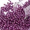 8/0 Glass Seed Beads X1-SEED-A017-3mm-1121-1