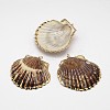 Natural Shell Big Pendant SHEL-P003-02-1