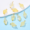 Glass Pendants PALLOY-YW00060-10-1