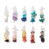 10Pcs 10 Styles Mixed Gemstone Chip Beaded Connector Charms PALLOY-JF02872-1