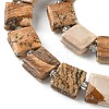 Natural Picture Jasper Beads Strands G-F802-B06-01-4