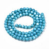 Natural Freshwater Shell Beads Strands SHEL-N003-24-B02-2