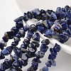 Chip Natural Blue Spot Stone Bead Strands X-G-M344-18-1
