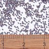 MIYUKI Delica Beads SEED-X0054-DB1067-4