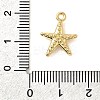 304 Stainless Steel Pendants STAS-B103-02C-G-3