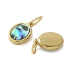 304 Stainless Steel Natural Paua Shell/White Shell Charms Ion Plating(IP) STAS-U037-03G-01-2
