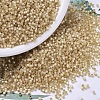 MIYUKI Delica Beads SEED-X0054-DB0621-1