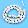 Natural Cultured Freshwater Pearl Beads Strands PEAR-N012-03O-2