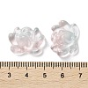 Transparent Glass Connector Charms GLAA-A015-01C-3