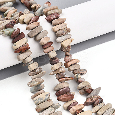 Natural Aqua Terra Jasper Beads Strands G-T140-64-1