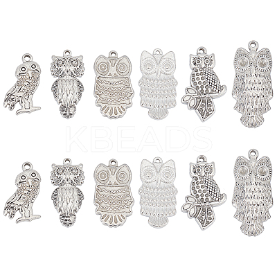 12Pcs 6 Style 304 Stainless Steel Pendants STAS-UN0024-59-1