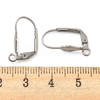 Non-Tarnish 304 Stainless Steel Leverback Earring Findings STAS-P360-02C-P-1