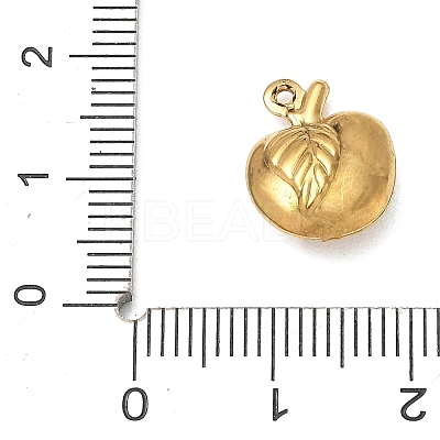 304 Stainless Steel Charms SA-CBA1975-05G-02-1