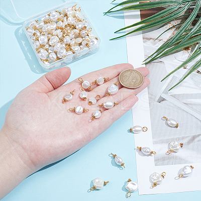100Pcs 10 Styles ABS Plastic Imitation Pearl Pendants and Connector Charms Findings Kits PALLOY-WR00021-1