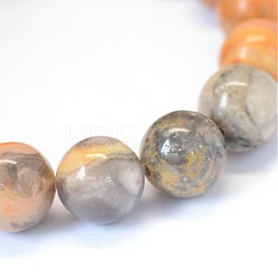 Natural Crazy Lace Agate Round Bead Strands G-E334-8mm-20-1