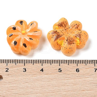 Opaque Resin Imitation Food Decoden Cabochons RESI-S396-18-1