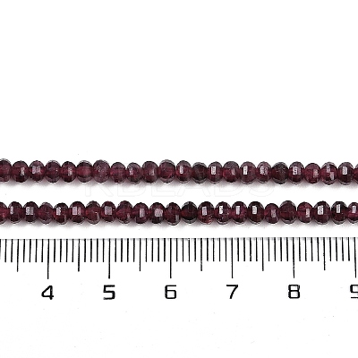 Natural Garnet Beads Strands G-H081-A01-01-1