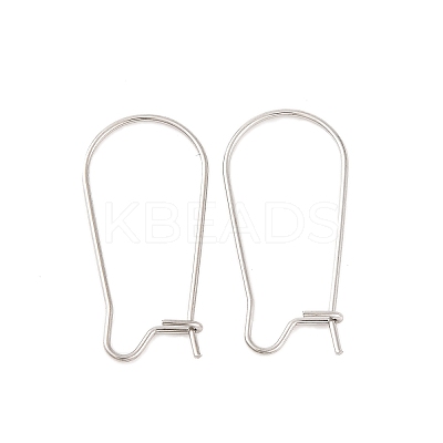 Tarnish Resistant 316 Surgical Stainless Steel Hook Earrings STAS-E009-5-1