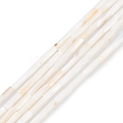Natural Freshwater Shell Beads Strands SHEL-M018-10-1