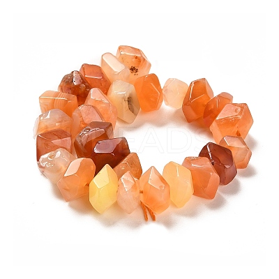 Natural Orange Botswana Agate Beads Strands G-N327-05-19-1