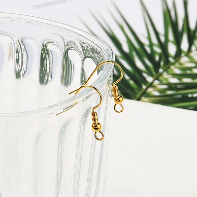 Brass Earring Hooks KK-YW0001-28G-1