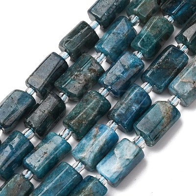 Natural Apatite Beads Strands G-L655-B03-01-1