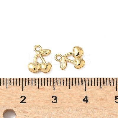 304 Stainless Steel Charms STAS-C134-28G-1