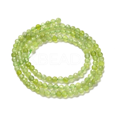 Natural Xiuyan Jade Beads Strands G-Z074-A04-02-1