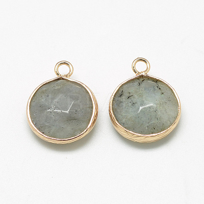 Natural Labradorite Pendants X-G-Q964-12G-1