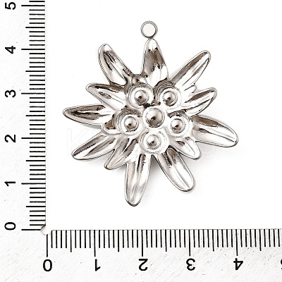 304 Stainless Steel Pendants STAS-Z149-05B-P-1