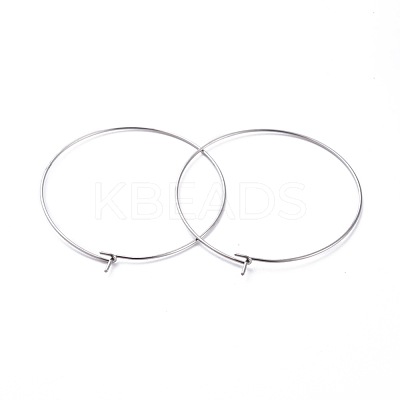 316 Surgical Stainless Steel Hoop Earring Findings X-STAS-J025-01F-P-1