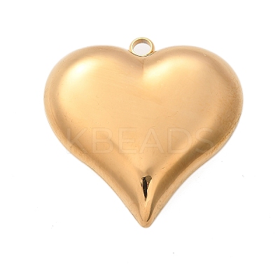 304 Stainless Steel Pendants LS-STAS-Q349-02A-G-1