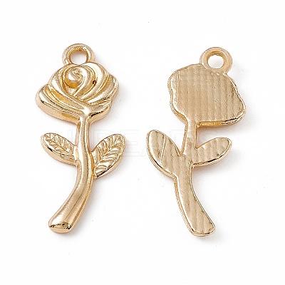 Alloy Pendants PALLOY-K259-05G-1