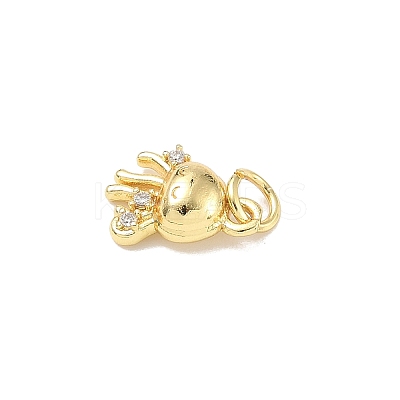 Brass Micro Pave Cubic Zirconia Charms ZIRC-I356-13G-06-1