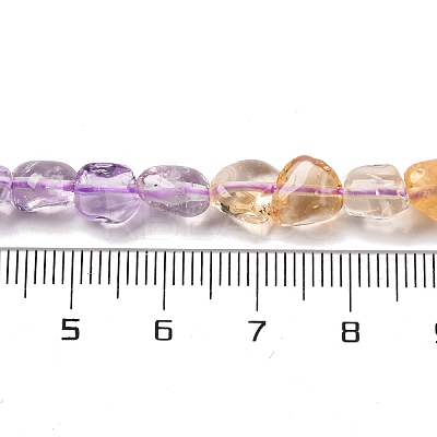 Natural Amethyst & Citrine Beads Strands G-L610-B06-01-1