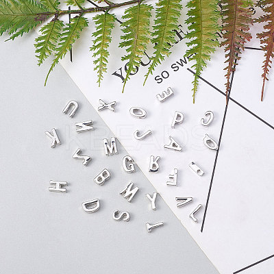 Alloy Beads PALLOY-CJ0001-40-1