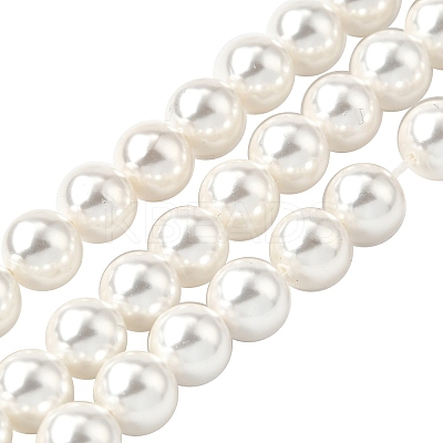 Rainbow Plated Shell Pearl Bead Strands X-BSHE-L025-02-8mm-1
