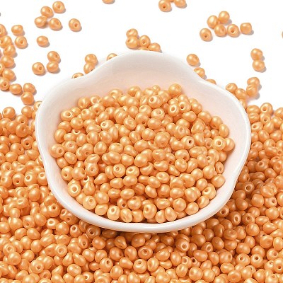 6/0 Glass Seed Beads SEED-L011-08A-19-1