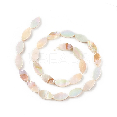 Natural Freshwater Shell Beads Strands X-SHEL-T009-22-1