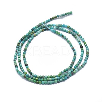Natural HuBei Turquoise Beads Strands X-G-A177-04-15-1