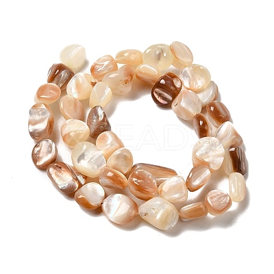 Natural Sea Shell Beads Strands SHEL-K006-16B-1