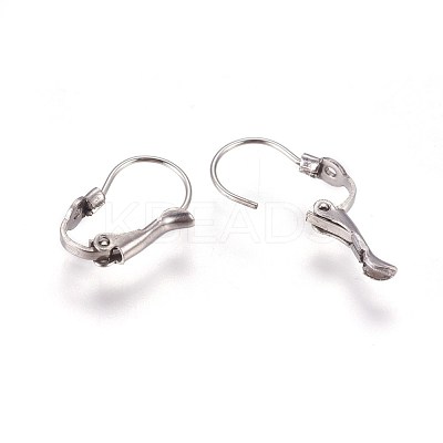Tarnish Resistant 304 Stainless Steel Leverback Earring Findings STAS-E460-04P-1