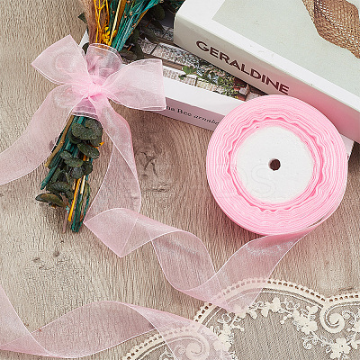 1 Rolls Sheer Organza Ribbon SRIB-CY0001-22B-07-1