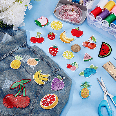 20Pcs 20 Styles Fruits Computerized Embroidery Cloth Iron on/Sew on Patches PATC-AR0001-18-1
